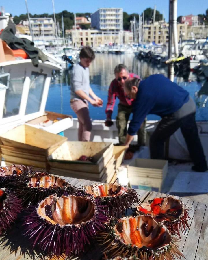 200M De La Plage ,3Mn Du Port A 50M Du Centre Ville 카리르루에 외부 사진